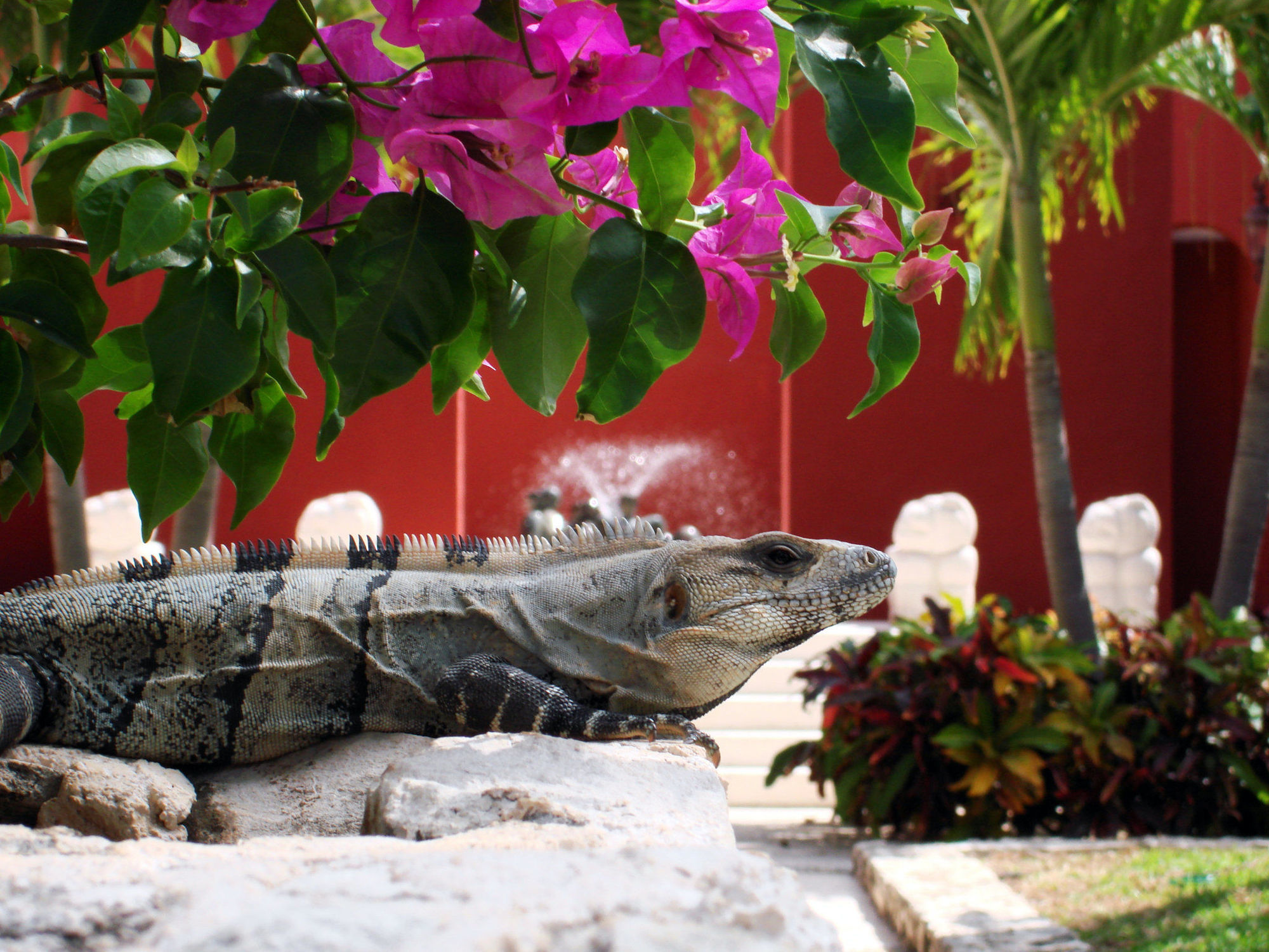 Paraiso De La Bonita Adult All-Inclusive, A Luxury Collection Resort Puerto Morelos Comodidades foto